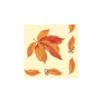 Duni Classic Servetten 40x40cm 4-lgs 1/4-vouw Indian Summer Pak 50 stuks - Op is op