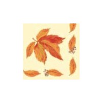 Duni Classic Servetten 40x40cm 4-lgs 1/4-vouw Indian Summer Pak 50 stuks - Op is op