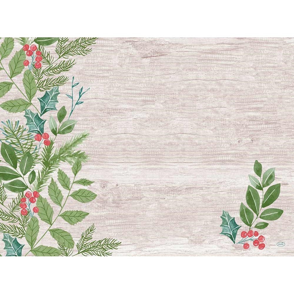 Duni Papieren Placemats 30x40cm Winter Greenery Pak 250 stuks