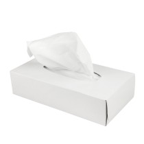 Bosse Facial Tissue 2-lgs Cellulose Doos 40x100 vel